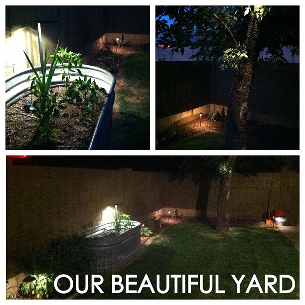 One of my weekend projects is now done. Backyard lighting: CHECK!