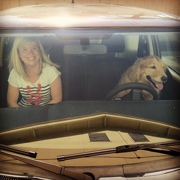 I guess Napa decided it was my day for the back seat. #doggiedriver