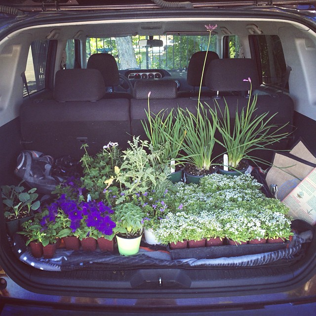 It's time to plant the garden! #urbangarden
