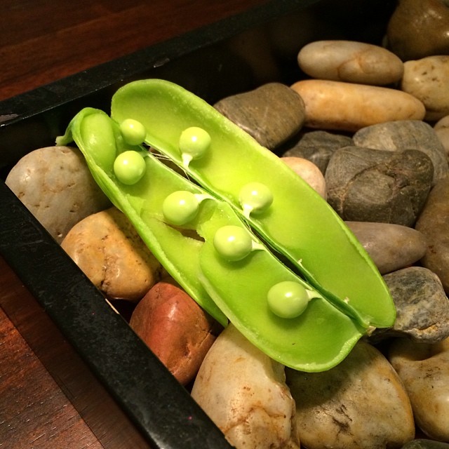 Peas in a pod. #urbangarden #peas