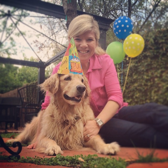 My wife threw quite a 4th birthday party for Napa today and she sure did enjoy it!!! @ashleycox_pals3 #napathegolden @thegoldenpals