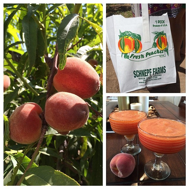 It's a peachy weekend! #peach #farm #margaritas #peaches